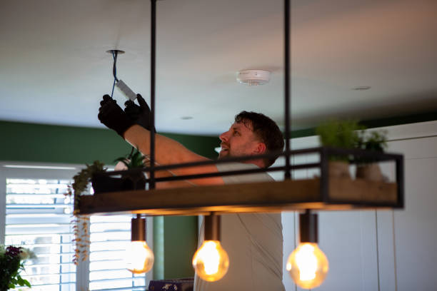 Best Electric Panel Repair  in Erin, TN