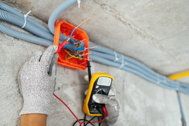 Best Ceiling Fan Installation Electrician  in Erin, TN
